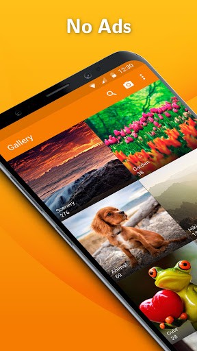 Simple Gallery Pro Video amp Photo Manager amp Editor 6.19.5 Apk 1